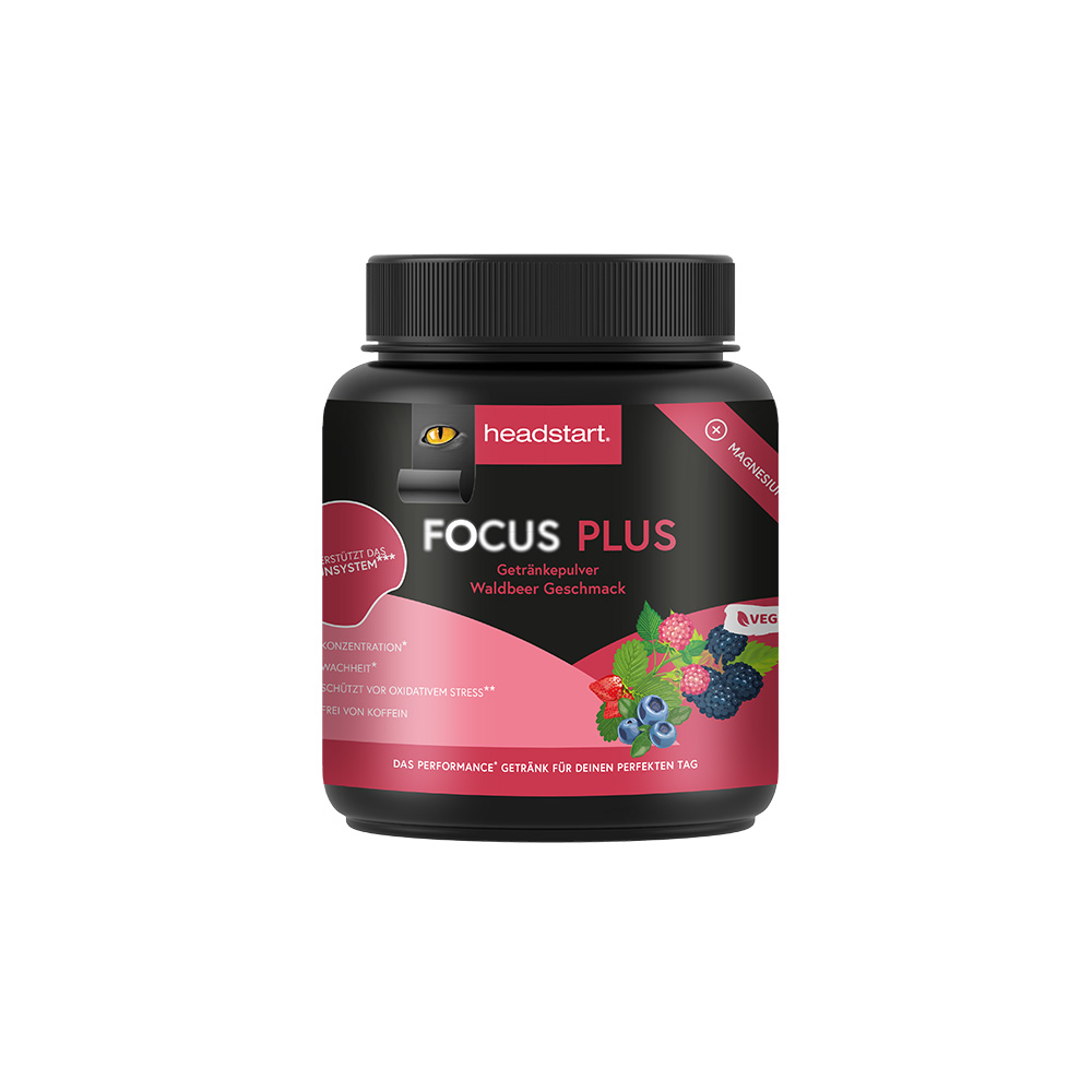 Headstart focus+KH Pulver 0,5kg Waldbeere